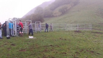 Mejoras en el monte de Tebrandi - Concejo de Piloña