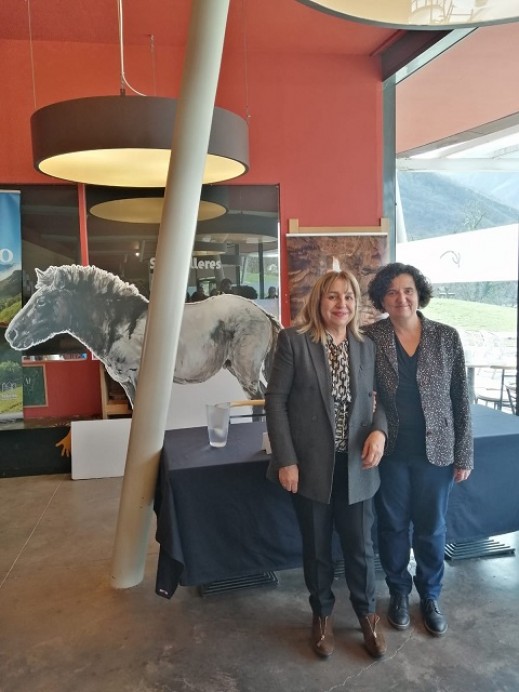 Programación Parque de la Prehistoria, Centro Tito Bustillo, MUJA y Centro del Prerrománico Asturiano - Turismo