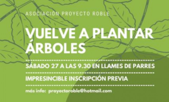Repoblación en la cuesta bodes - Concejo de Parres