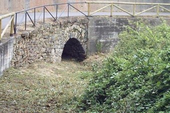 Comunicado de SOFELL  (sobre iniciativa fotográfica). - Concejo de Colunga