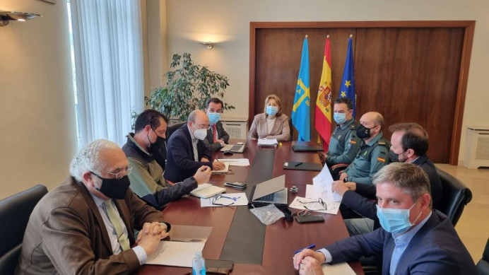 El Principado y la Delegación del Gobierno intensifican el plan de vigilancia activado por la muerte de aves en peligro de extinción - Ecología y Medioambiente