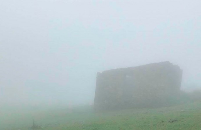 Rastreo de montaña en Colunga - Concejo de Colunga