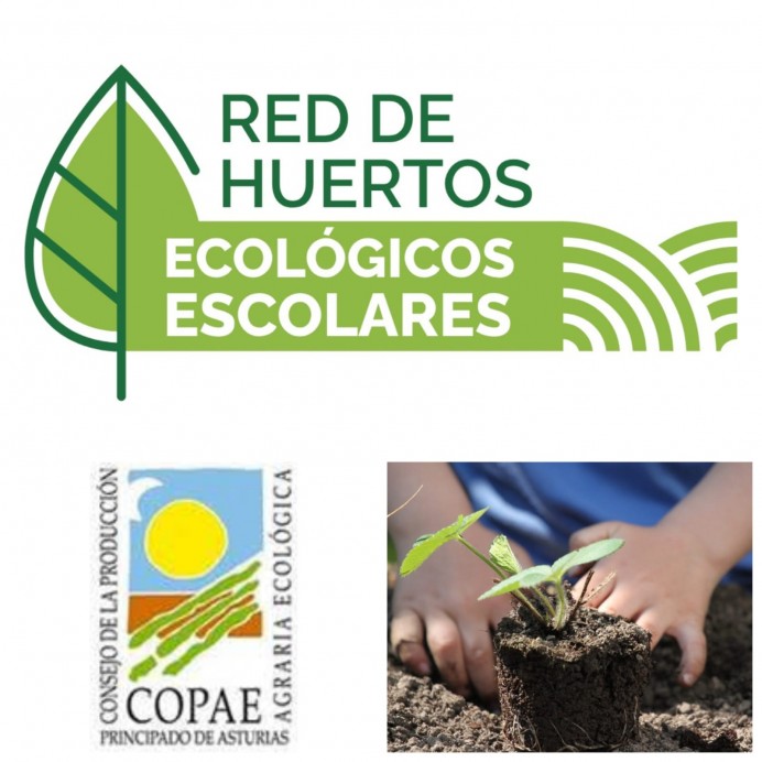 Inicio del nuevo curso de huertos escolares ecológicos en Asturias - Ecología y Medioambiente