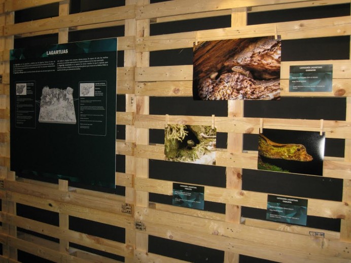 Anfibios y reptiles bajo el objetivo” en el MUJA - Concejo de Colunga