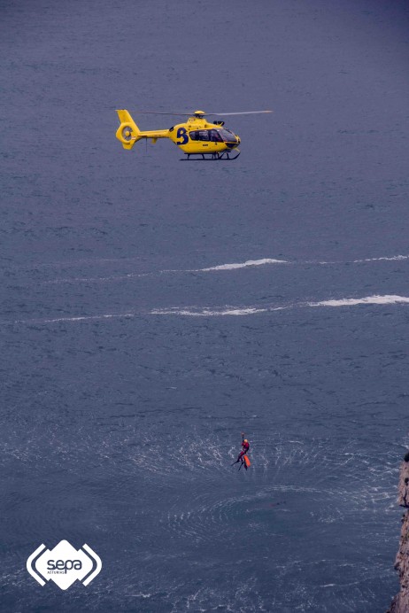 Rescate de cria de marsopa - Ecología y Medioambiente