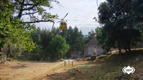 Rescatado en helicóptero un senderista indispuesto en la zona de Santa María de Tina, en Pimiango - Sucesos