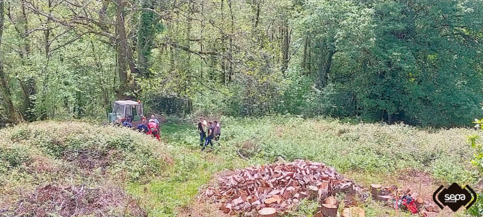Persona herida en Nava mientras cortaba leña en Priandi - Concejo de Nava