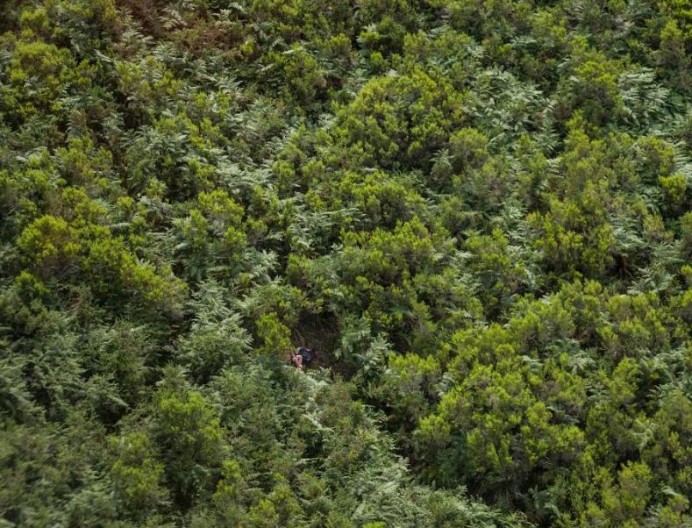 Rescate de montaña en Peñamellera Alta - Ruenes - Concejos Peñamellera Alta y Baja
