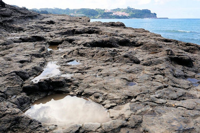 Aparecen nuevos restos jurásicos en la costa colunguesa - Concejo de Colunga