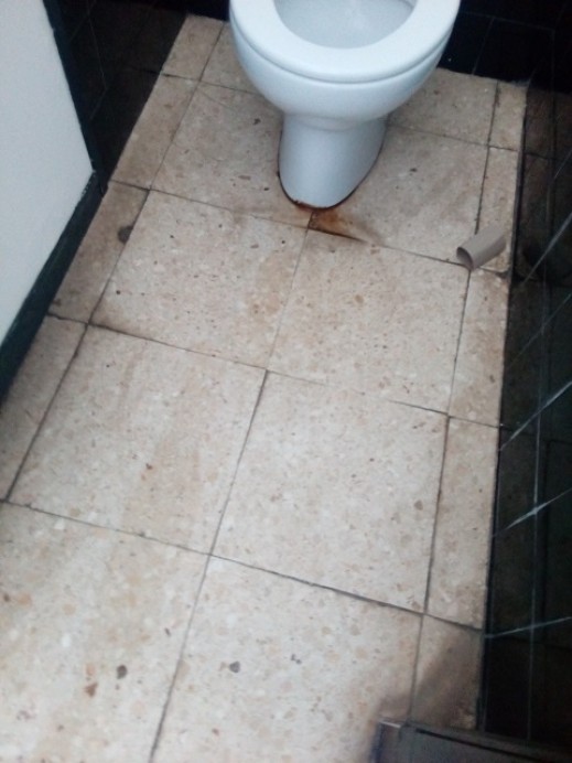 PARTIU ASTURIANISTA PAS: Cochambre indecorosa retretes del Polideportivu Les Mestes de Xixón - Concejo de Gijón