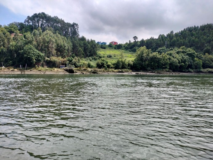 Finaliza la campaña de pesca de la angula en Asturias con un llamado urgente a su prohibición - Ecología y Medioambiente