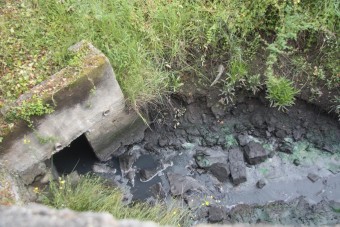 No se deben permitir mas vertidos en la ría de Villaviciosa - Concejo de Villaviciosa