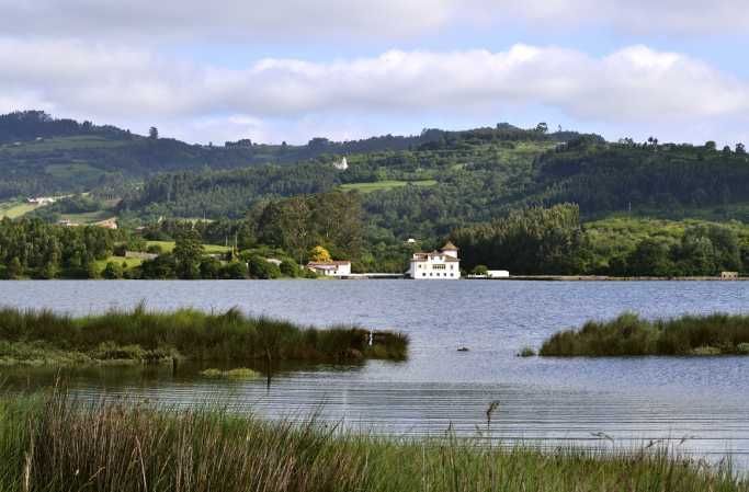 El Principado pone en marcha un proyecto piloto en la Ría de Villaviciosa para habilitar una alternativa que permita el marisqueo - Asturias