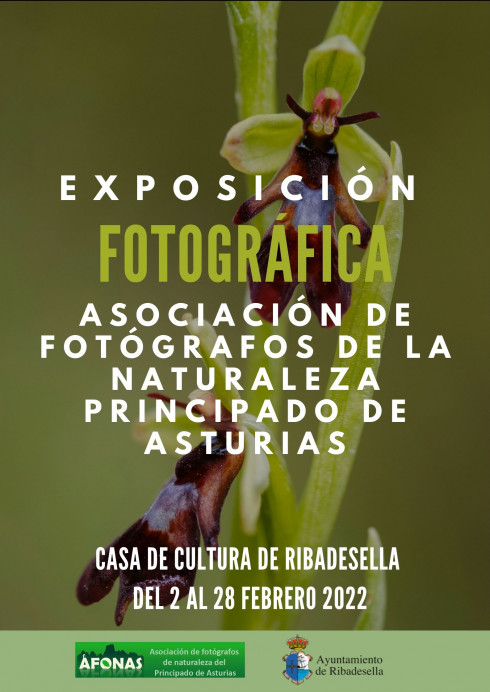 Exposición fotográfica AFONAS - Concejo de Ribadesella
