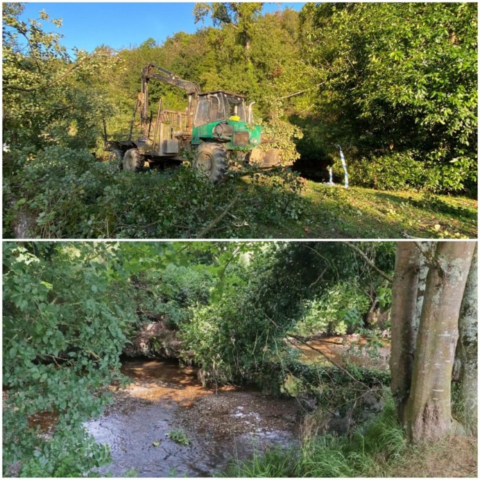 El Ayuntamiento de Villaviciosa retira árboles caídos sobre el cauce del río Linares para prevenir inundaciones - Concejo de Villaviciosa