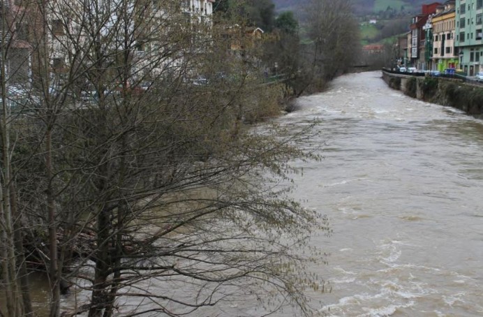 Ecologista de Asturias: Reclamamos el fin del proyecto de cría de esturiones en la cuenca del río Sella - Ecología y Medioambiente
