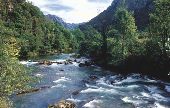 Medio Rural fija un cupo de salmones por cuenca fluvial para garantizar una pesca recreativa sostenible en 2024 - Asturias