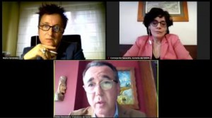 FSA - Pablo Fernández: La robustez del sistema sanitario asturiano ha sido clave ante la COVID-19 - Asturias