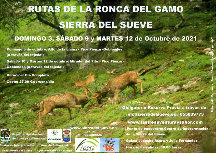 Disfruta de la ronca del gamu en El Sueve - Comarca del Sueve