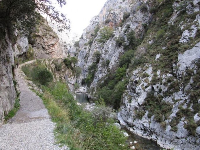Un delito ambiental que queda sin castigo en el Parque de Picos de Europa - Ecología y Medioambiente