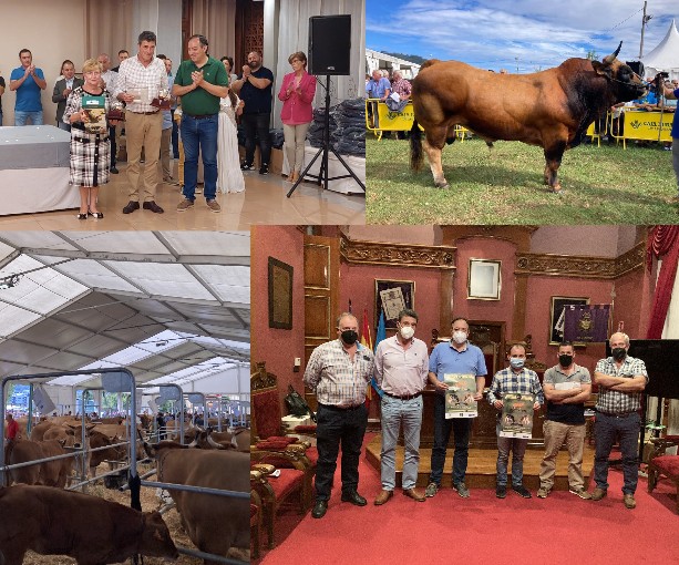 La campaña de saneamiento ganadero de Villaviciosa comenzará el 13 de mayo y recorrerá todas las parroquias - Concejo de Villaviciosa