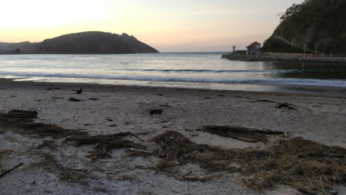 Ecologistas de Asturias: La playa de Santa Marina en Ribadesella lleva muchos años ya con mala calidad de sus aguas - Concejo de Ribadesella