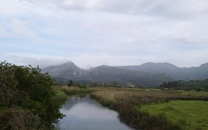 Urge reparar las compuertas del río Sella - Ecología y Medioambiente