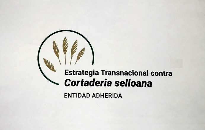 Llanes se adhiere Estrategia lucha contra plumero pampa - Concejo de Llanes