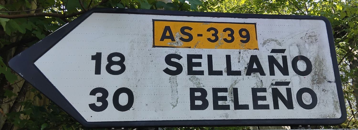 Un análisis histórico sostiene que el asturiano conserva más rasgos del latín que el castellano - Sociedad y Cultura