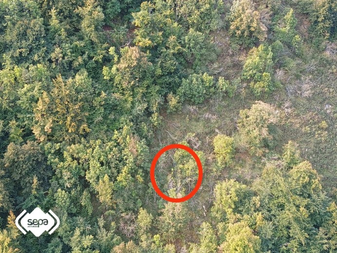 Dos hombres gravemente heridos en accidentes en montes de Somiedo y Villaviciosa - Sucesos