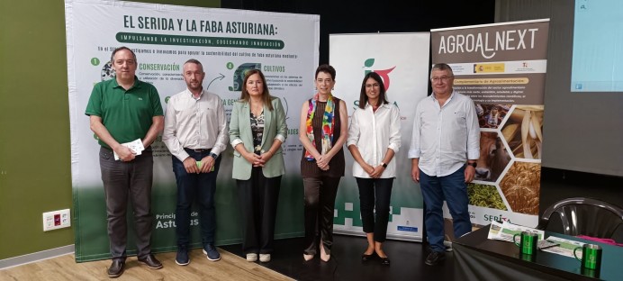 El Serida presenta dos nuevas variedades de faba granja mejoradas genéticamente para resistir enfermedades comunes en cultivos locales - Concejo de Villaviciosa