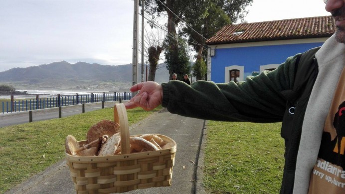 Jornada de las Setas en La Isla - Concejo de Colunga