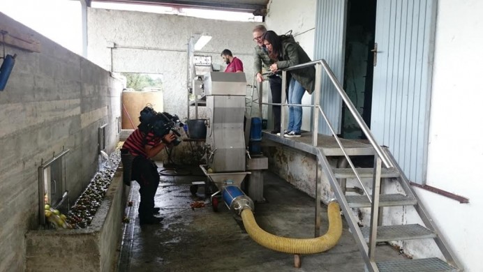 España Directo de TVE descubre el mundo de la sidra - Comarca de la Sidra