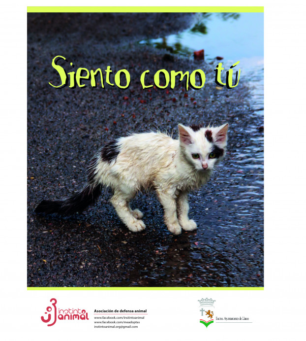 Charlas sobre el respeto a los animales y contra el maltrato animal en los centros educativos de Llanes - Concejo de Llanes