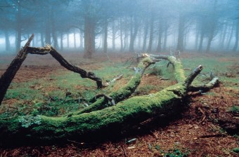Nuevo horario de primavera del CI Sierra del Sueve - Concejo de Colunga