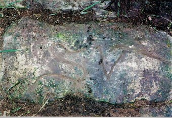 EL CAMINO DE SANTIAGO (De nuevo) - Concejo de Colunga