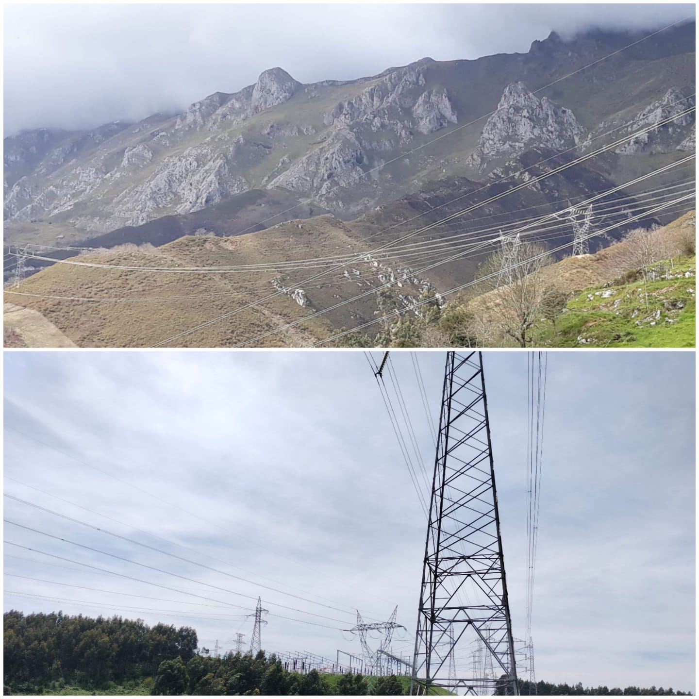 Nueva subestación en Ortiguero (Cabrales): ecologistas exigen soterrar líneas y reducir su impacto - Ecología y Medioambiente