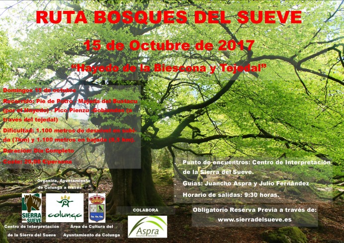 XX Jornadas del Sueve - Concejo de Colunga