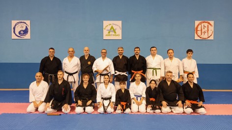 Arriondas acoge un curso de Kobudo centrado en el trabajo de Tonfa