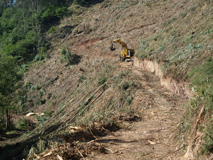 Ecologistas de Asturias: Sancionan a una empresa maderera por contaminar los cauces en Colunga - Concejo de Colunga
