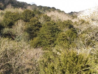 Salvemos las Tejedas y la Biescona - Ecología y Medioambiente