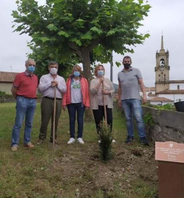 Declaraciones de José Ángel Toyos sobre la plantación del Tejo en memoria de las víctimas del COVID - Concejo de Colunga
