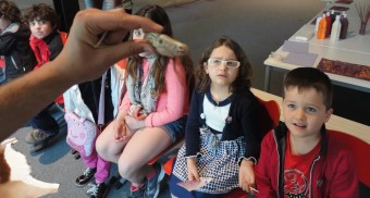 ¿Qué para qué?, visita-taller para niños en el Centro Tito Bustillo - Concejo de Ribadesella