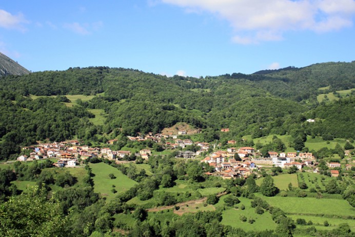 Fomento refuerza el transporte a demanda en Ponga para facilitar el acceso a los servicios sanitarios - Concejo de Ponga