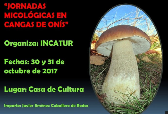 Jornadas Micológicas en Cangas de Onís - Concejo de Cangas de Onís