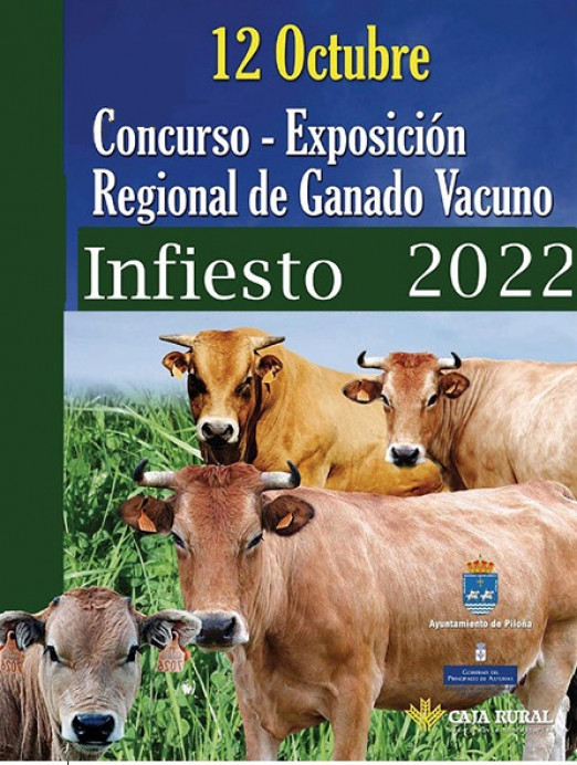 63 Concurso-Exposición Regional de Ganado Vacuno - Concejo de Piloña
