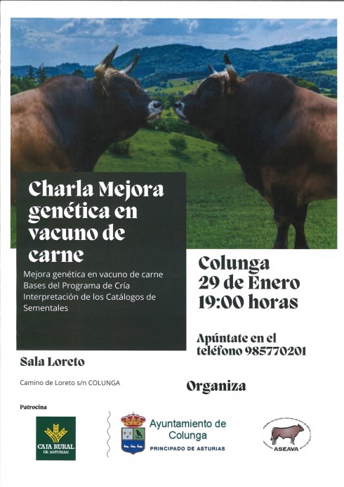 Charla sobre la mejora genética en vacuno de carne en Colunga - Concejo de Colunga