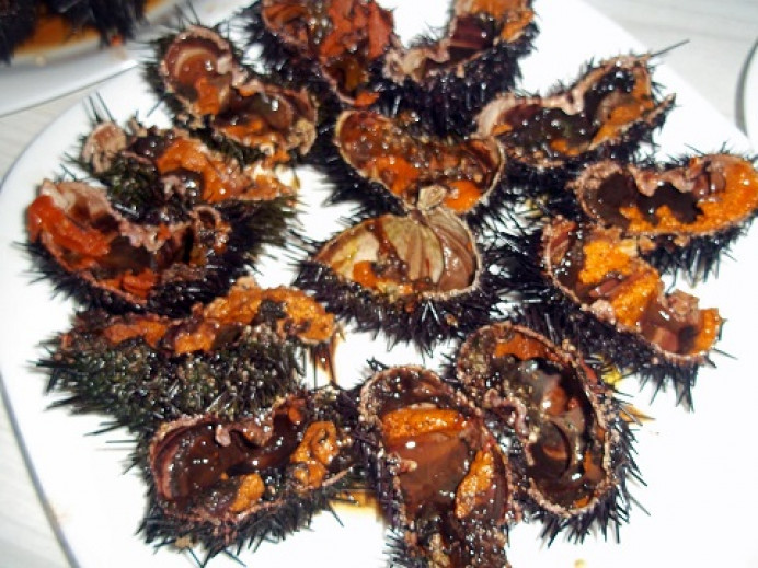 Xuan Xosé Sánchez Vicente: Carta al consejero de medio rural y política, señor Marcos Líndez sobre la veda del oricio - Asturias