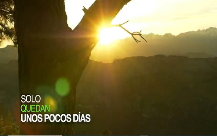 Ya solo quedan unos pocos días - Concejo de Parres