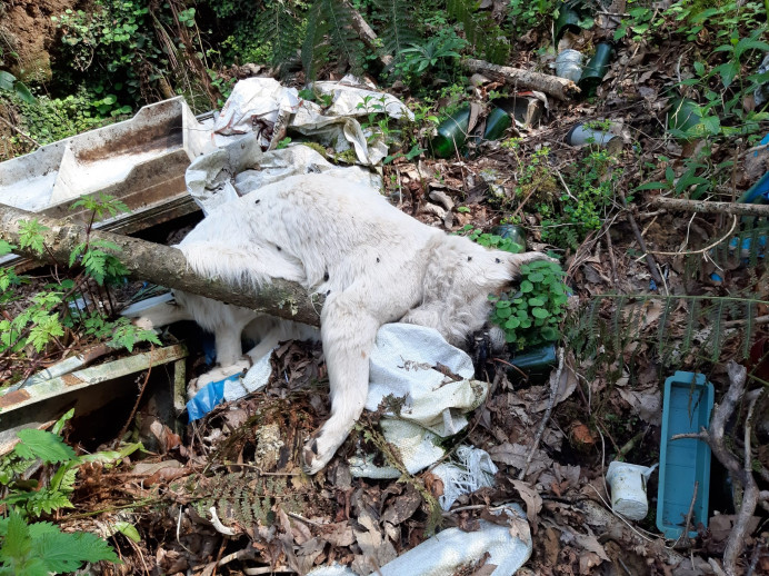 La Fiscalía investiga el vertedero de animales de Piloña - Concejo de Piloña